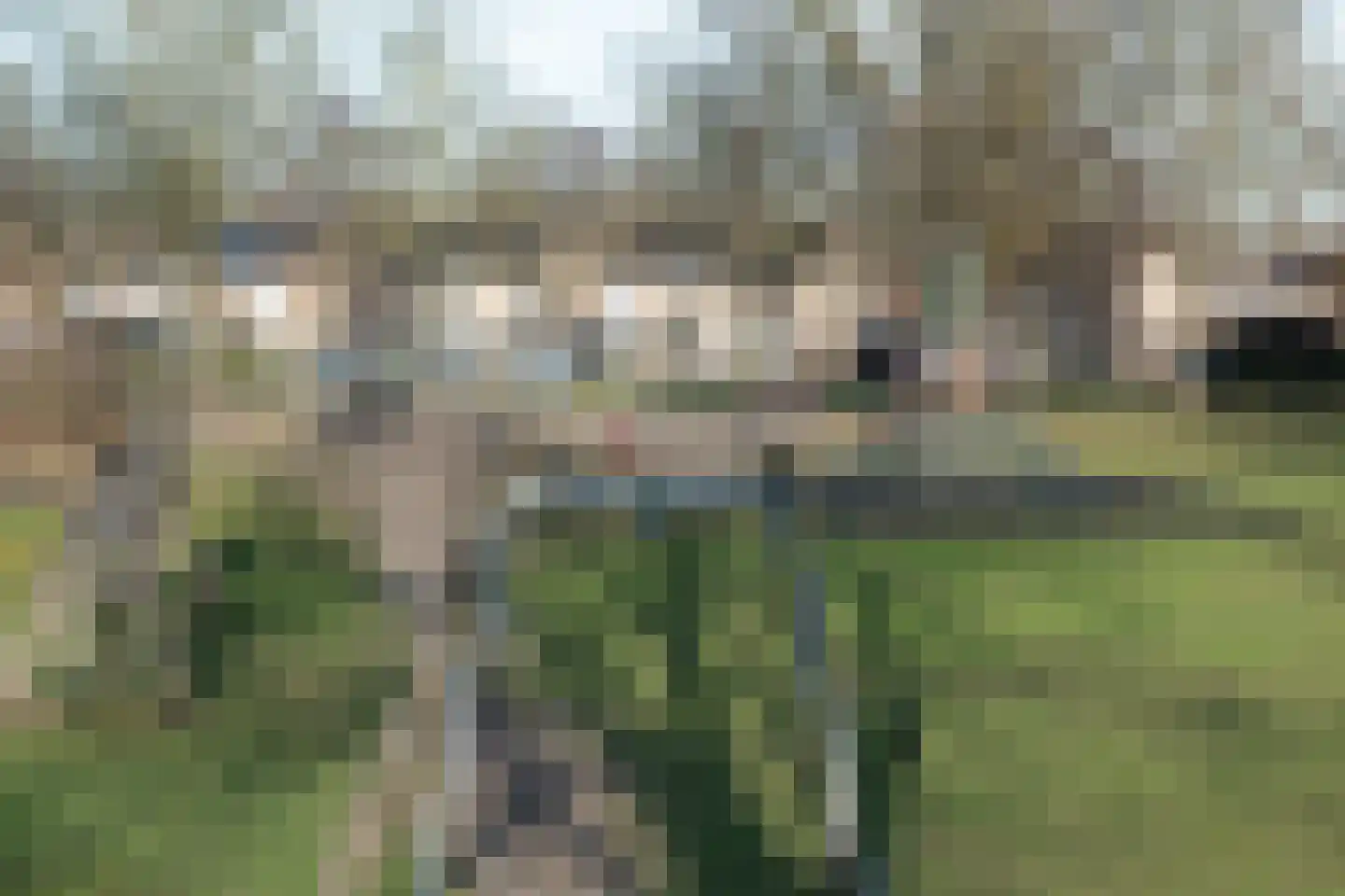Weergraaf 18 Horn thumbnail 34