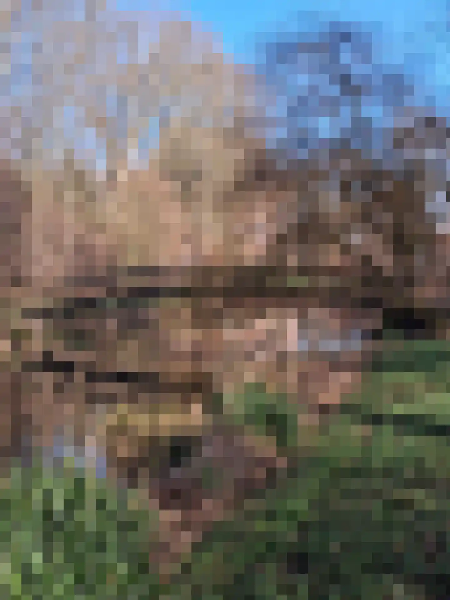 Weergraaf 18 Horn thumbnail 35