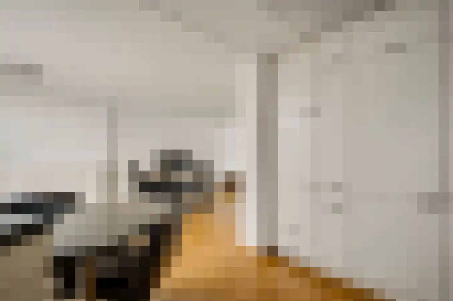 Weergraaf 36 Horn thumbnail 37