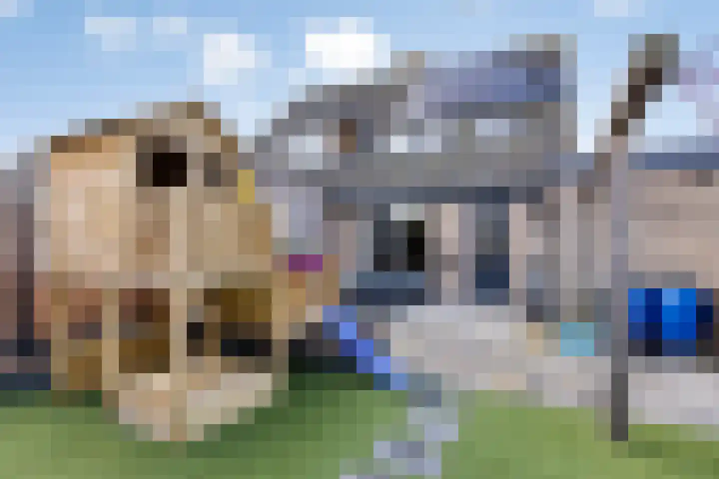 Weerhaan 36 Middelburg thumbnail 16