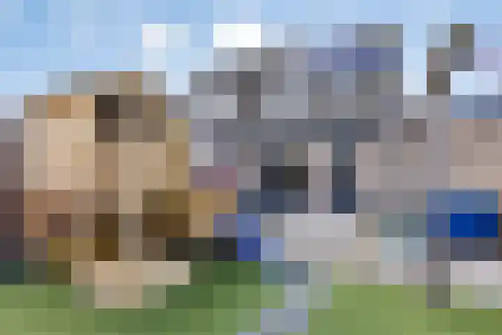 Weerhaan 36 Middelburg thumbnail 16