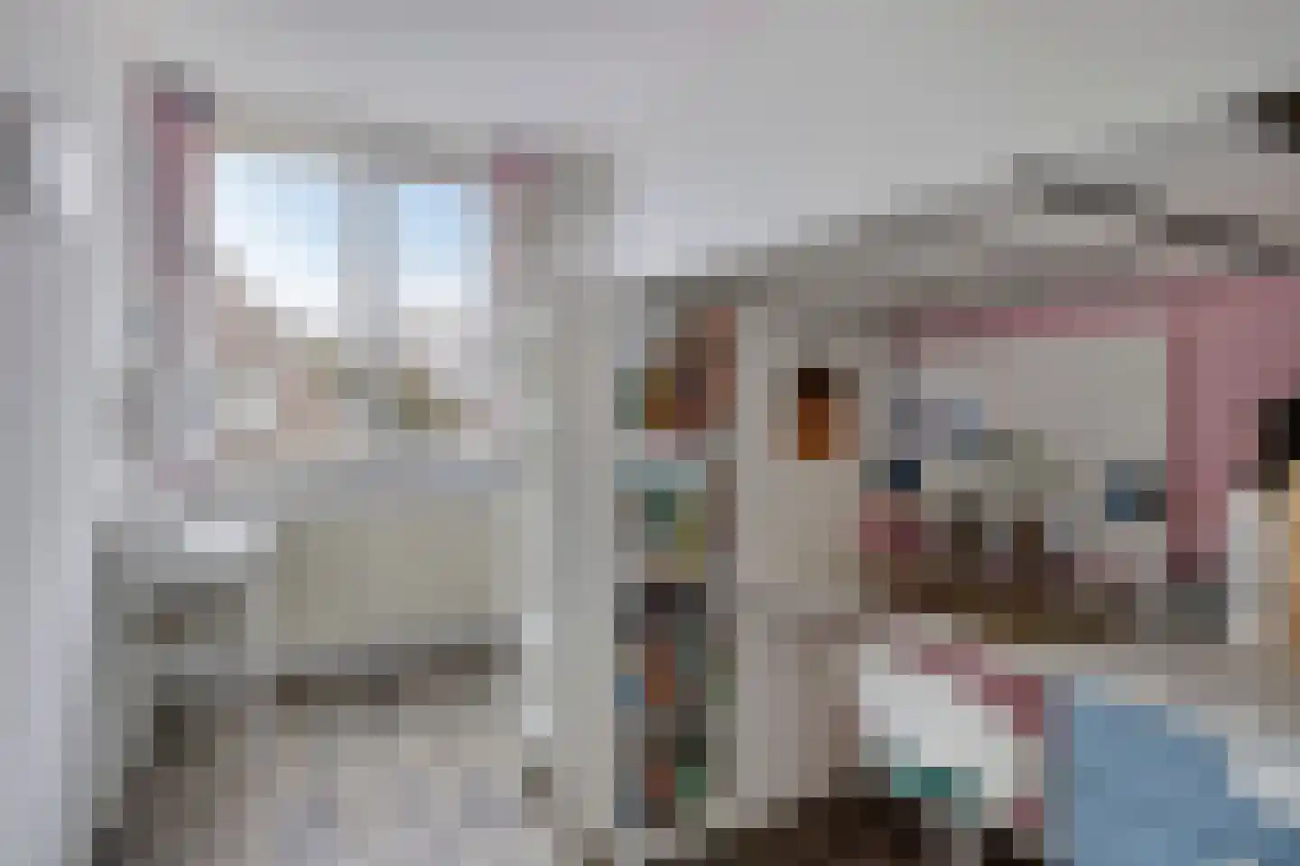 Weerhaan 36 Middelburg thumbnail 9