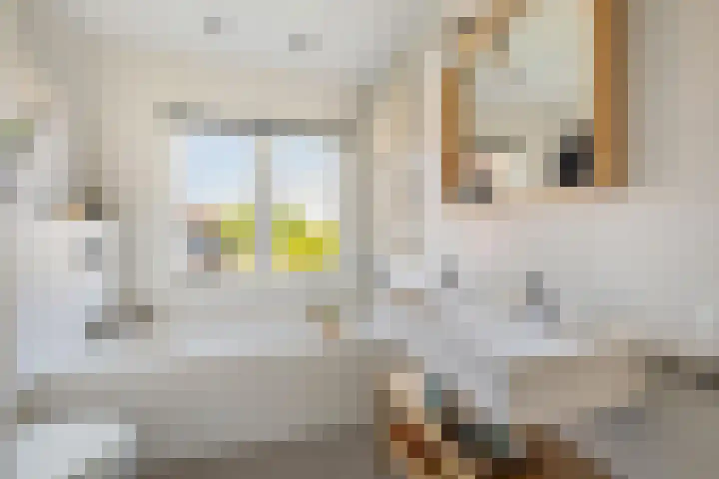 Weerijssingel 20 Breda thumbnail 27