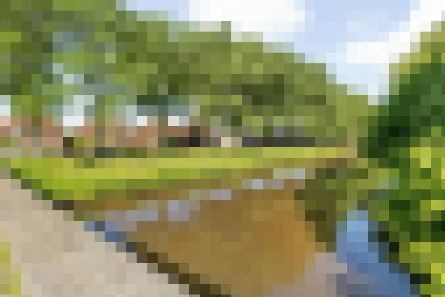 Weerijssingel 20 Breda thumbnail 39
