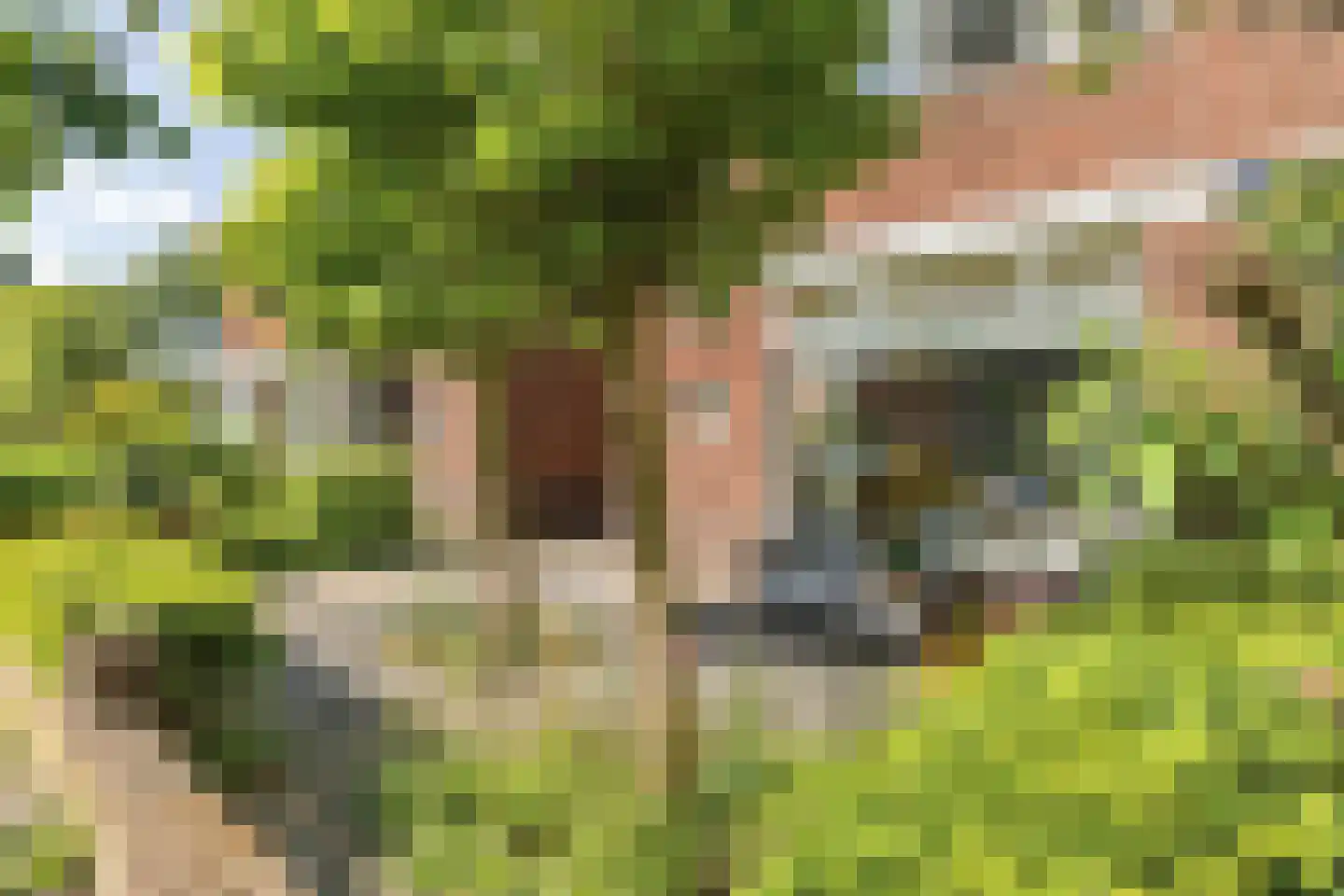 Weerijssingel 20 Breda thumbnail 5
