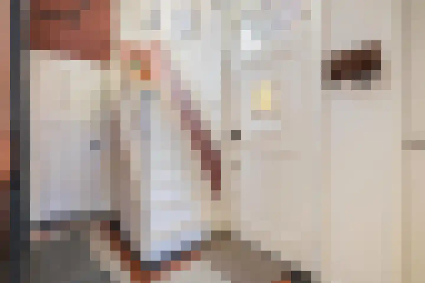 Weerijssingel 20 Breda thumbnail 6