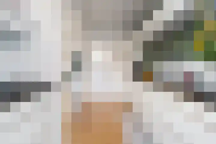 Weerijssingel 38 Breda thumbnail 13
