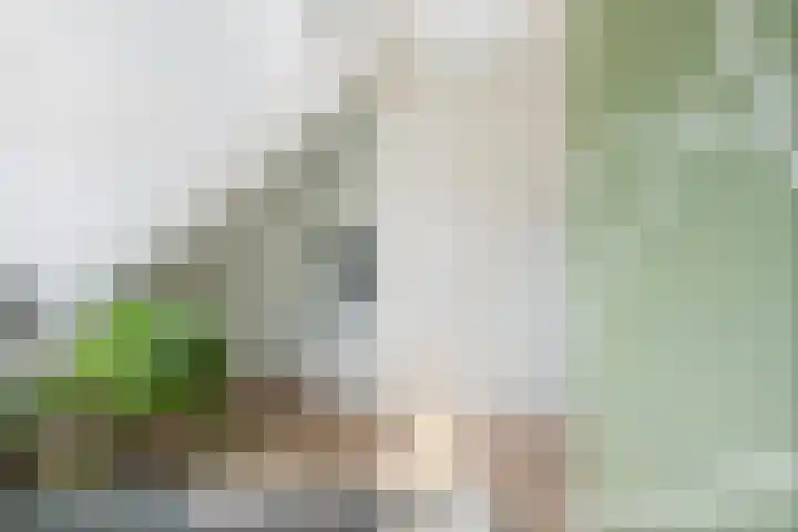 Weerijssingel 38 Breda thumbnail 35