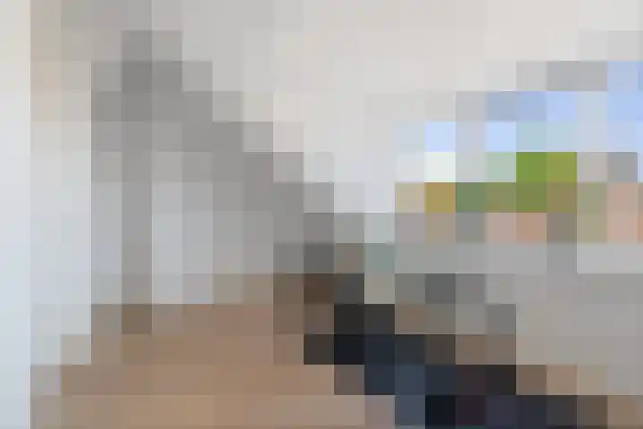 Weerijssingel 38 Breda thumbnail 39