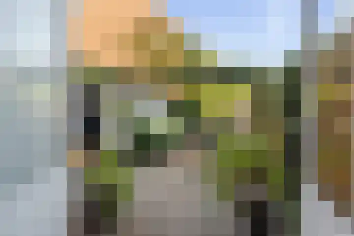 Weerijssingel 38 Breda thumbnail 40