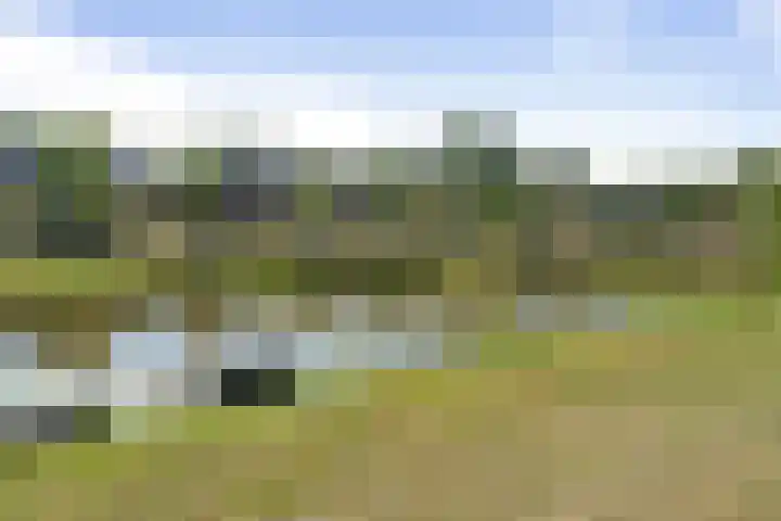 Weerijssingel 38 Breda thumbnail 47