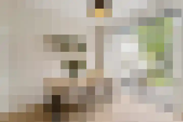 Weerijssingel 41 Breda thumbnail 12