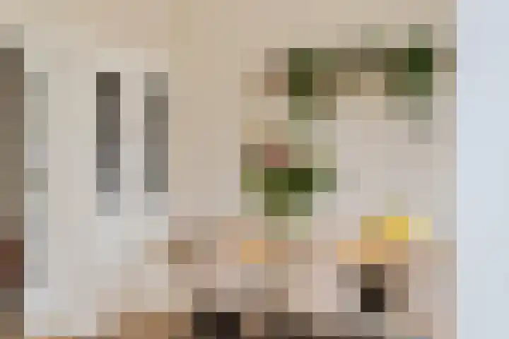 Weerijssingel 41 Breda thumbnail 14