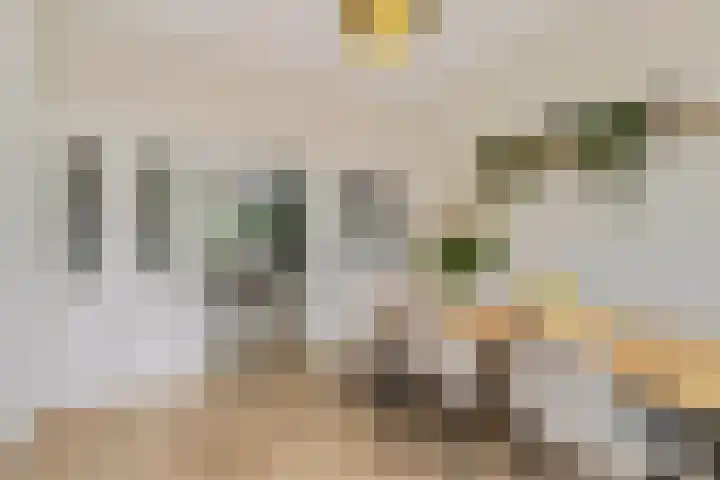 Weerijssingel 41 Breda thumbnail 15