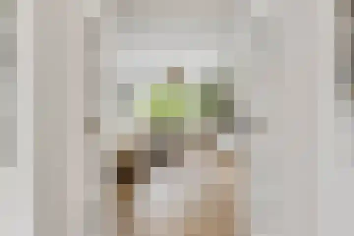 Weerijssingel 41 Breda thumbnail 17