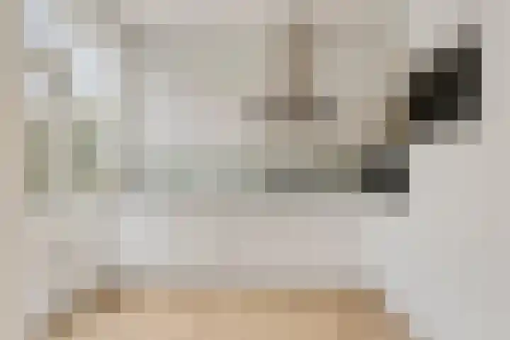 Weerijssingel 41 Breda thumbnail 21