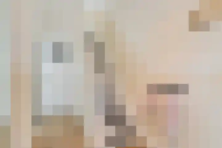 Weerijssingel 41 Breda thumbnail 22