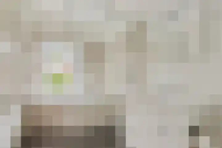 Weerijssingel 41 Breda thumbnail 23