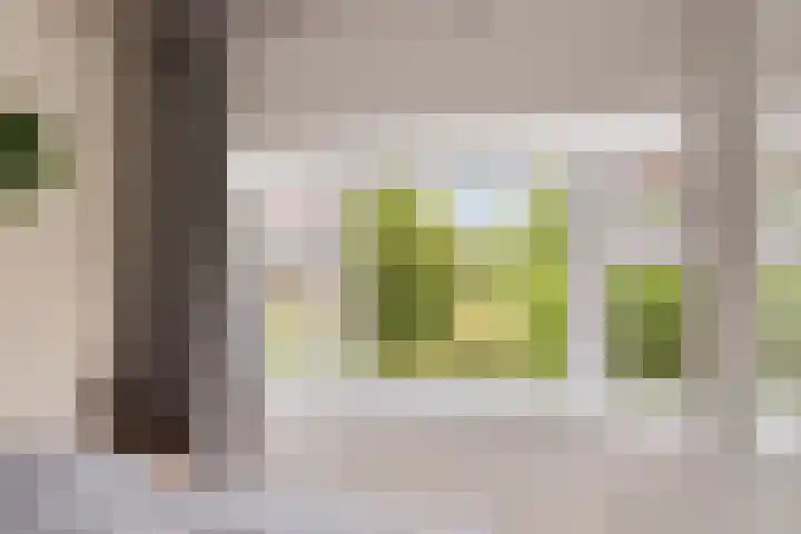 Weerijssingel 41 Breda thumbnail 26