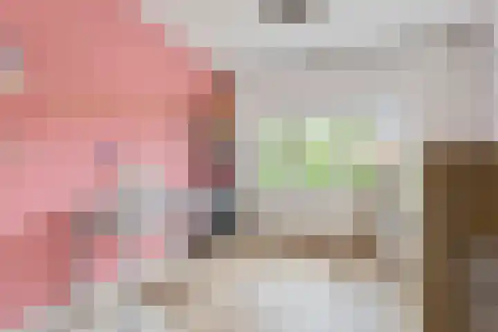 Weerijssingel 41 Breda thumbnail 29