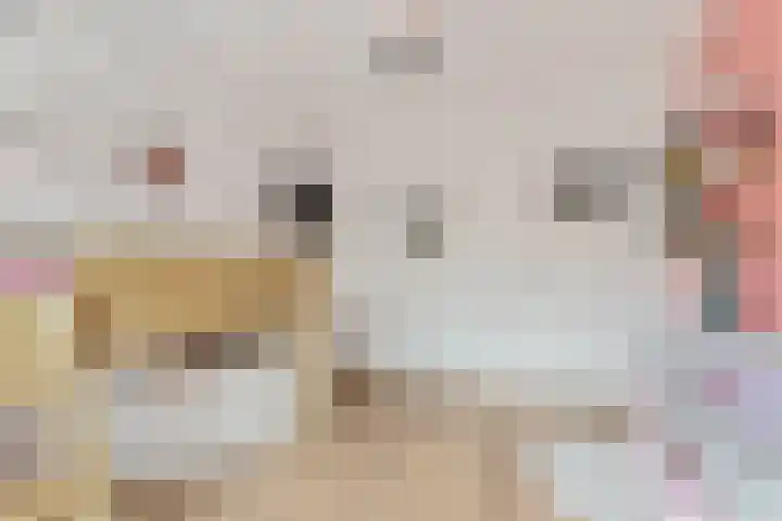 Weerijssingel 41 Breda thumbnail 30