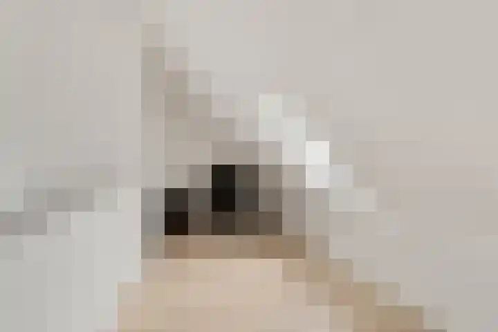 Weerijssingel 41 Breda thumbnail 32