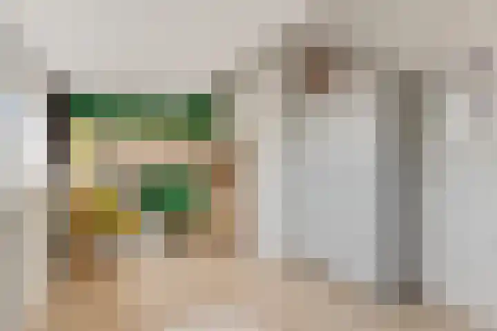Weerijssingel 41 Breda thumbnail 34