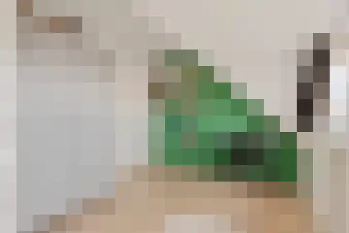 Weerijssingel 41 Breda thumbnail 35