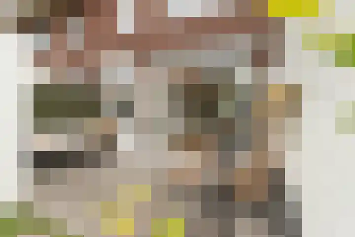Weerijssingel 41 Breda thumbnail 36