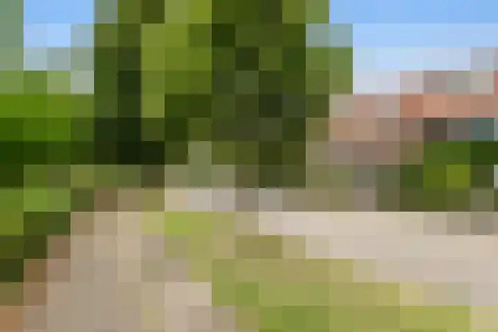 Weerijssingel 41 Breda thumbnail 45