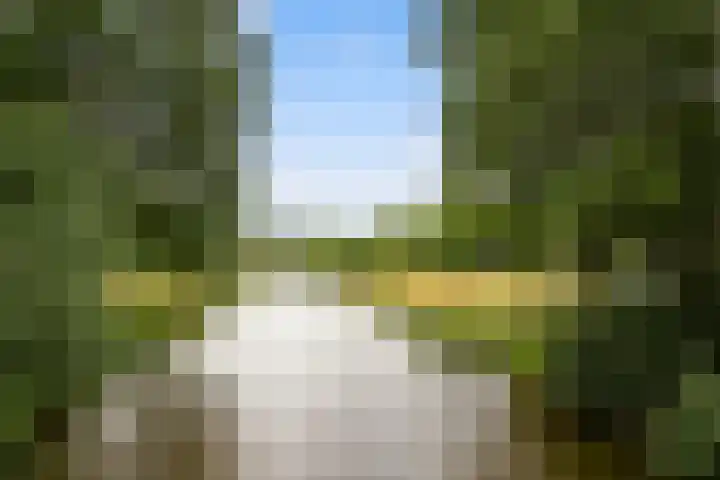 Weerijssingel 41 Breda thumbnail 46