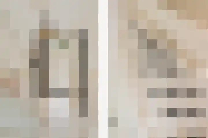 Weerijssingel 41 Breda thumbnail 5
