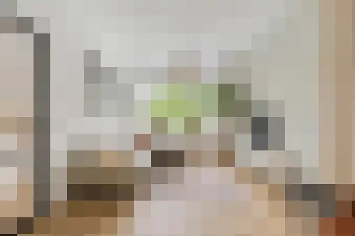 Weerijssingel 41 Breda thumbnail 7