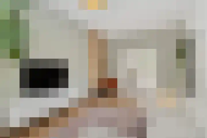Weerijssingel 41 Breda thumbnail 8