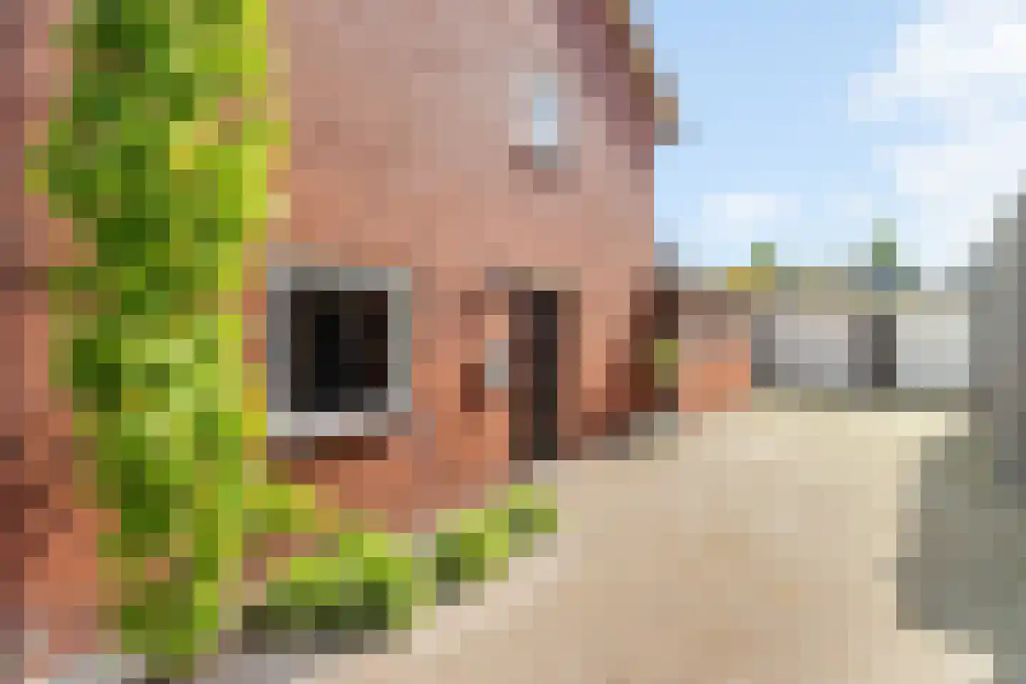 Weerinkstraat 22 Denekamp thumbnail 7