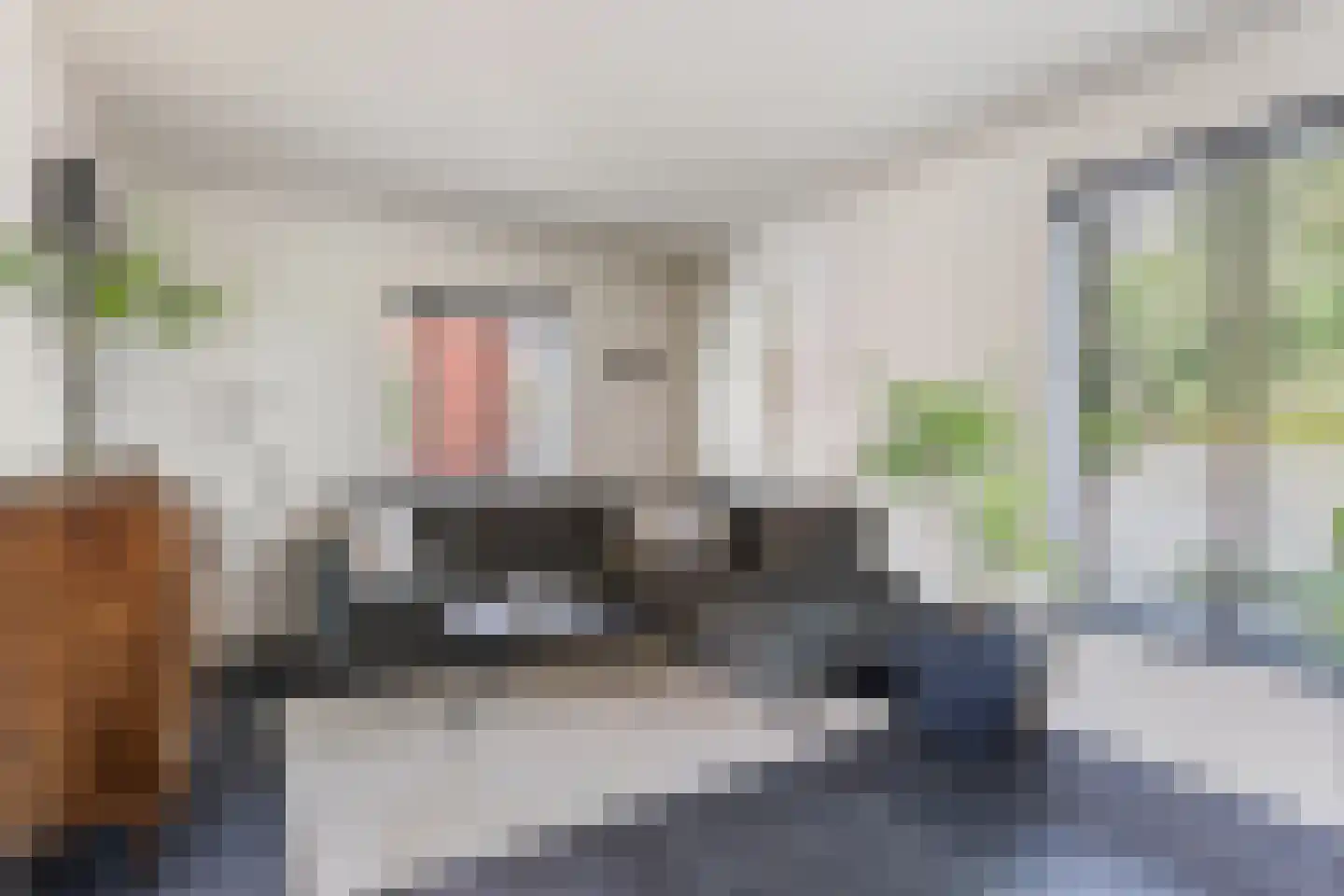 Weerinkstraat 22 Denekamp thumbnail 8