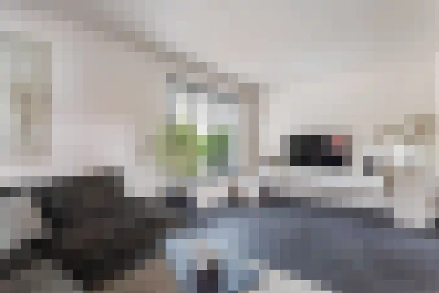 Weerinkstraat 22 Denekamp thumbnail 9