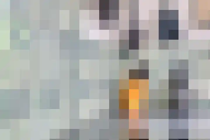 Weerinkstraat 7 Denekamp thumbnail 11