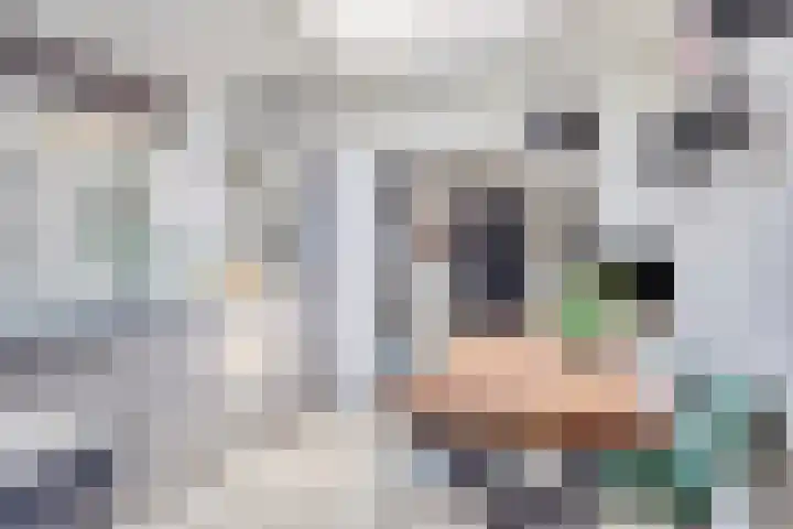 Weerinkstraat 7 Denekamp thumbnail 12