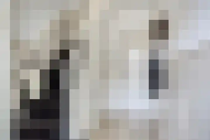 Weerinkstraat 7 Denekamp thumbnail 15