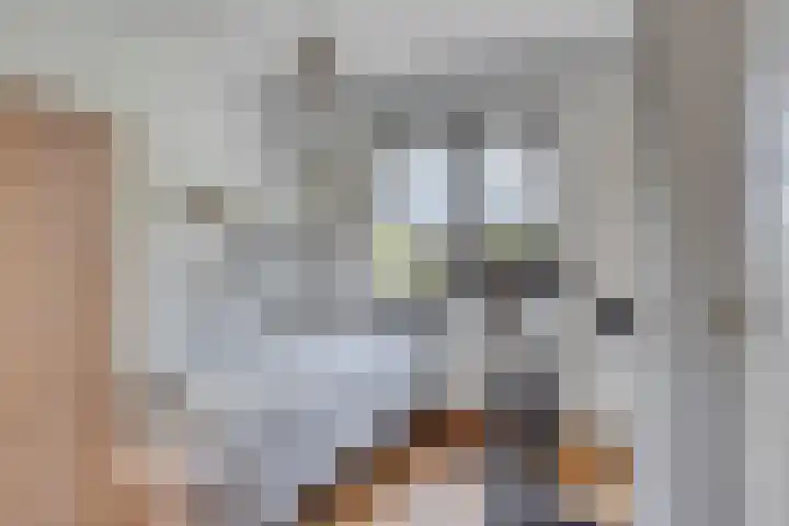 Weerinkstraat 7 Denekamp thumbnail 21