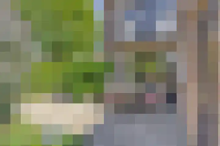 Weerinkstraat 7 Denekamp thumbnail 26