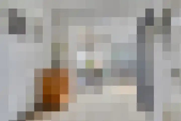 Weerinkstraat 7 Denekamp thumbnail 7