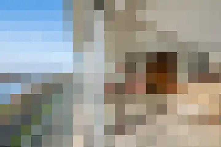 Weerkant 104 Barendrecht thumbnail 17