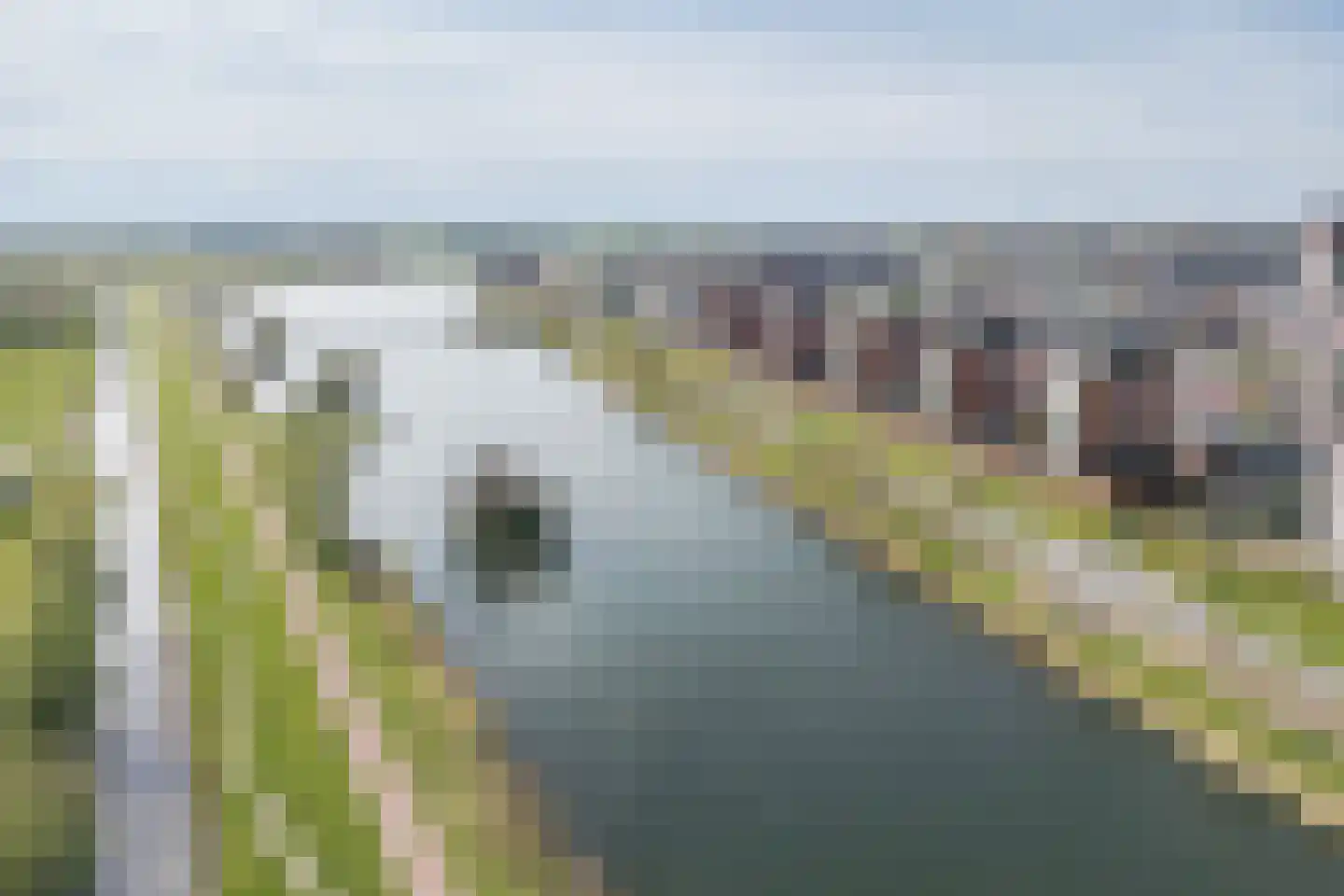 Weerkant 142 Barendrecht thumbnail 41