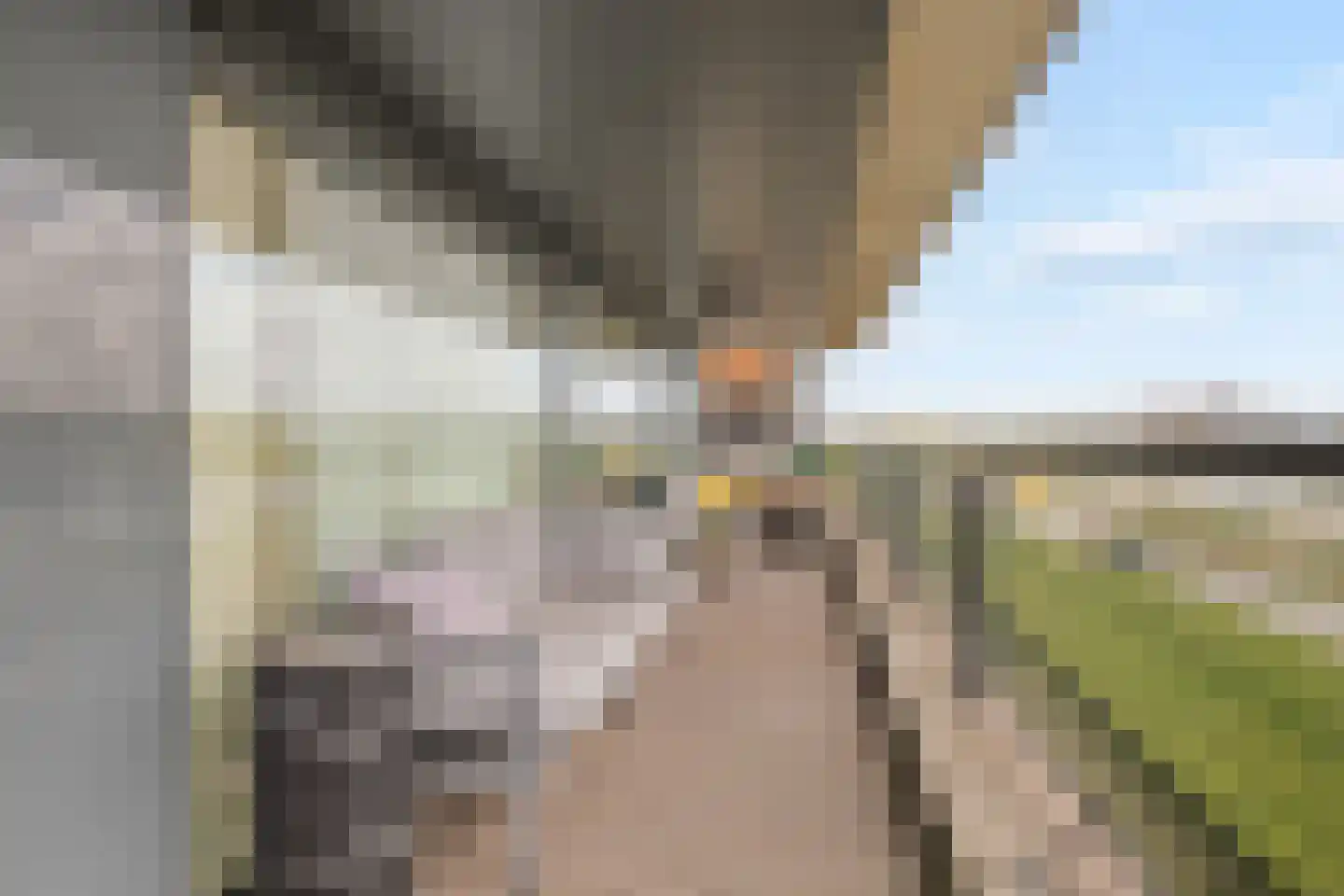 Weerkant 150 Barendrecht thumbnail 31