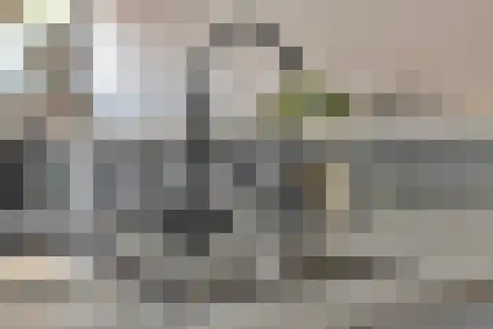 Weerkant 17 Barendrecht thumbnail 20
