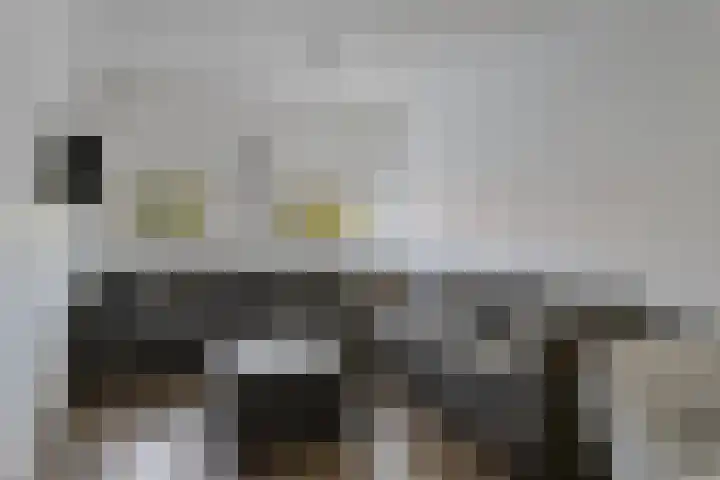 Weerkant 17 Barendrecht thumbnail 39