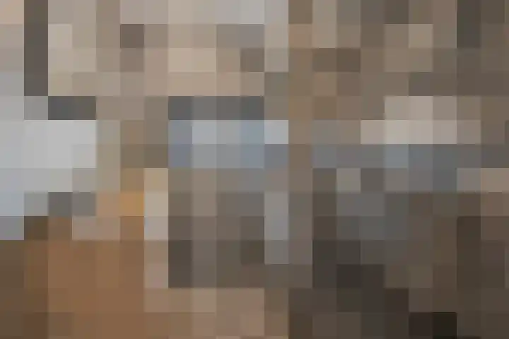 Weerkant 17 Barendrecht thumbnail 41