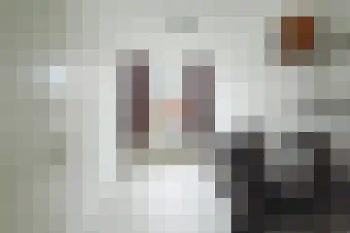 Weerkant 31 Barendrecht thumbnail 24